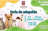 Todo listo para realizar en Jacona la feria de adopción de caninos y felinos