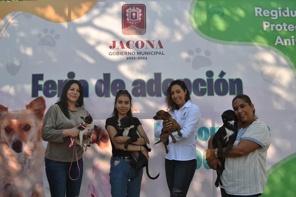 Realizan con éxito la primera feria de adopción de perros y gatos en Jacona