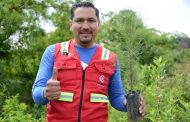 Ayuntamiento de Chilchota y Fundación Merza realizaron reforestación en Los Nogales