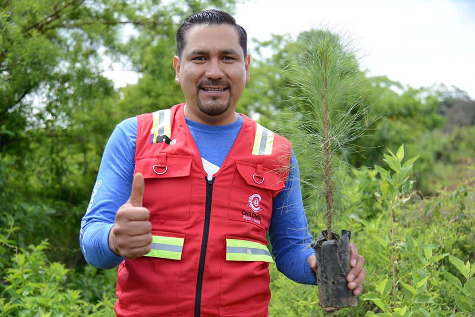 Ayuntamiento de Chilchota y Fundación Merza realizaron reforestación en Los Nogales