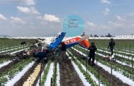 Se reporta desplome de avioneta en campos agrícolas de Vista Hermosa