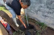 SAPAZ limpia líneas de distribución de agua potable en colonias