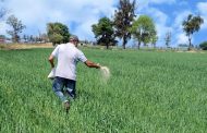 INEGI efectuará Censo Agropecuario 2022 en Zamora