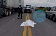 Adulto mayor muere al ser atropellado en la carretera La Piedad - Yurécuaro
