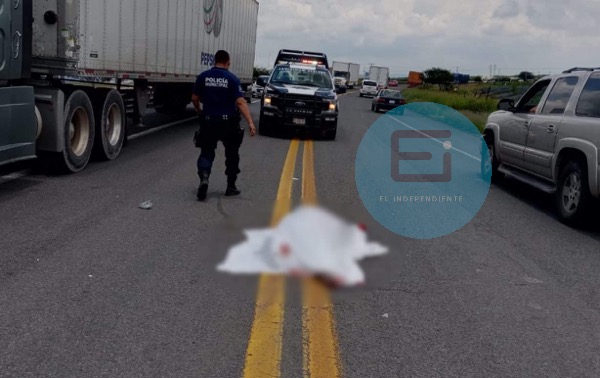 Adulto mayor muere al ser atropellado en la carretera La Piedad - Yurécuaro