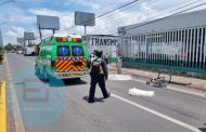 Ciclista muere atropellado por camión de la Ruta Azul, en Zamora