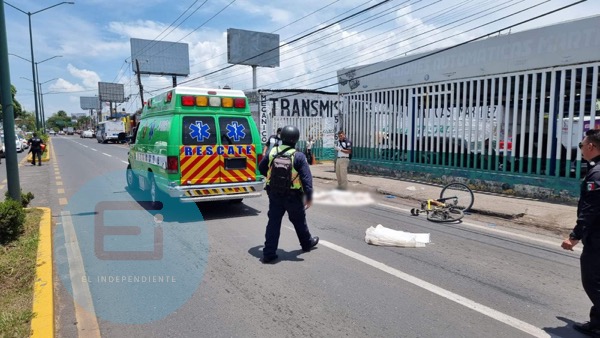 Ciclista muere atropellado por camión de la Ruta Azul, en Zamora