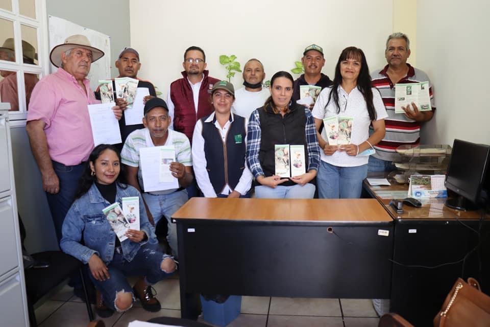 Realizan en Jacona capacitación del programa de Manejo Fitosanitario de Frutillas