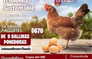 Continúa la entrega de gallinas ponedoras dentro del programa Economía Sustentable en Jacona