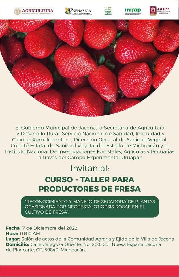 Invita Desarrollo Rural de Jacona a Curso - Taller para productores de fresa