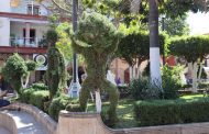 Mejoran apariencia de áreas verdes de la Plaza Principal en Jacona