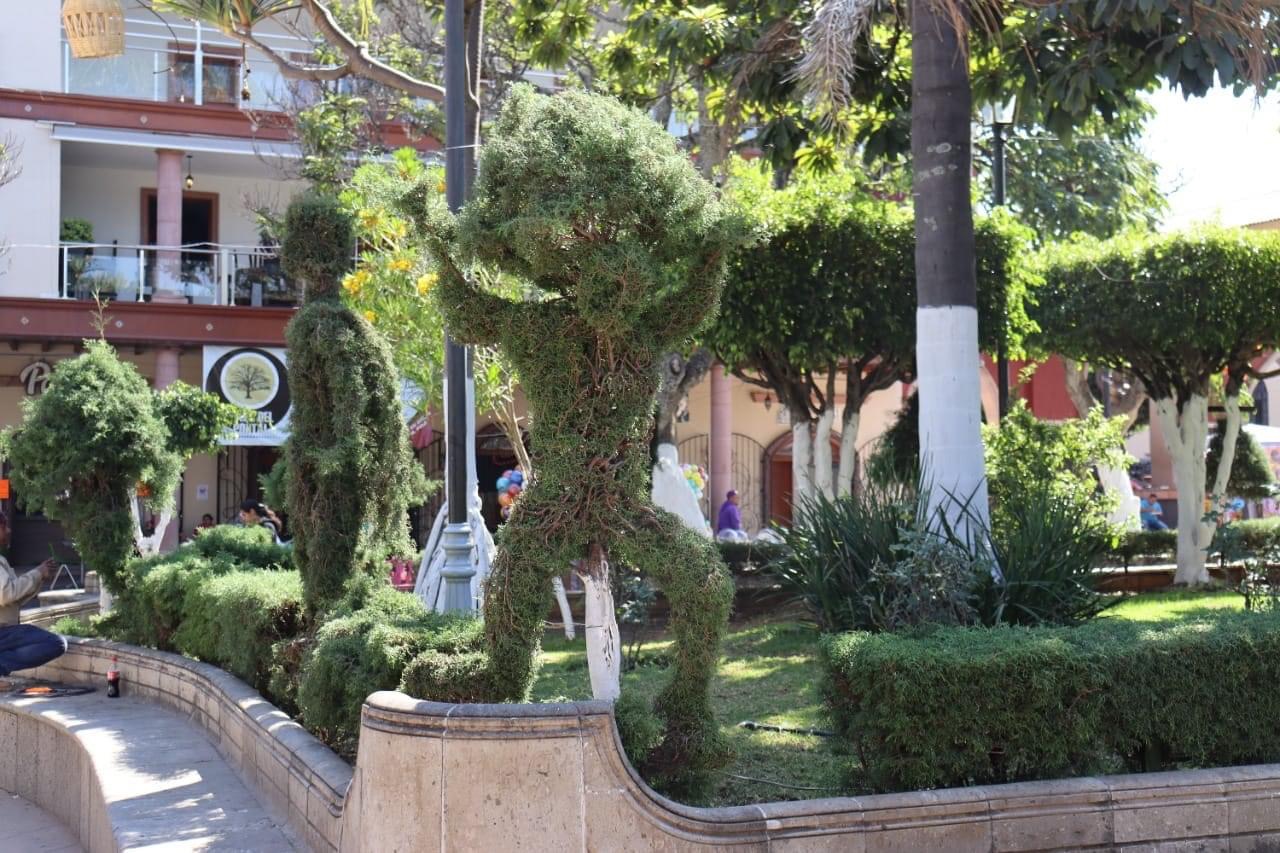 Mejoran apariencia de áreas verdes de la Plaza Principal en Jacona