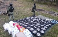 Militares realizan millonario aseguramiento de droga sintética en Tanhuato