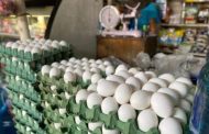 EL Kilo de huevo en Zamora ronda los 56 pesos en promedio; es el más alto en Michoacán