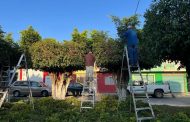 Dan mantenimiento a parque público de colonia Generalísimo Morelos