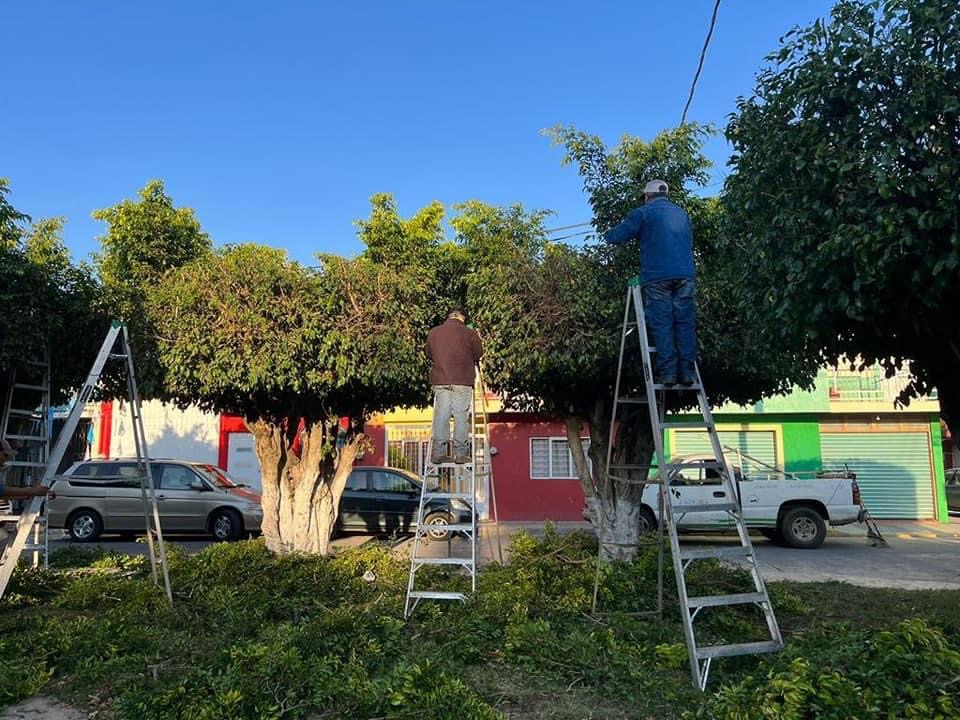 Dan mantenimiento a parque público de colonia Generalísimo Morelos