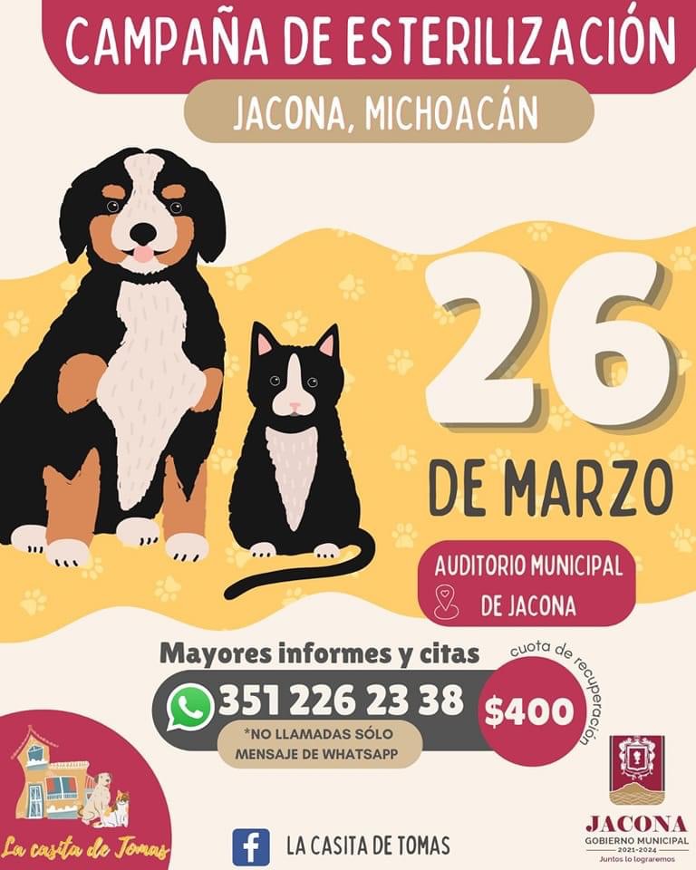Campaña de esterilización de mascotas en Jacona