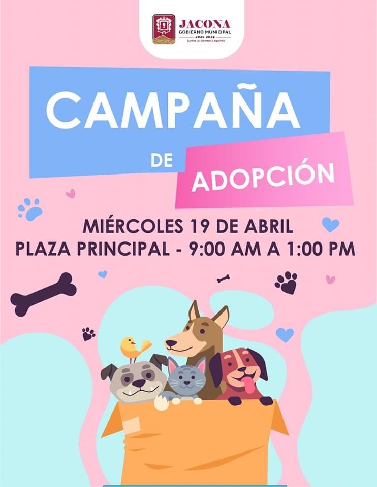 Realizarán nueva campaña de adopción de mascotas en Jacona