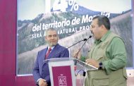 Michoacán usa tecnología satelital para denunciar cambio de uso de suelo
