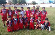 Linces Zamora se posiciona en categorías de la Liga Infantil Juvenil