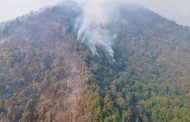 Más de 400 brigadistas combaten incendio forestal en cerro Grande Patamban