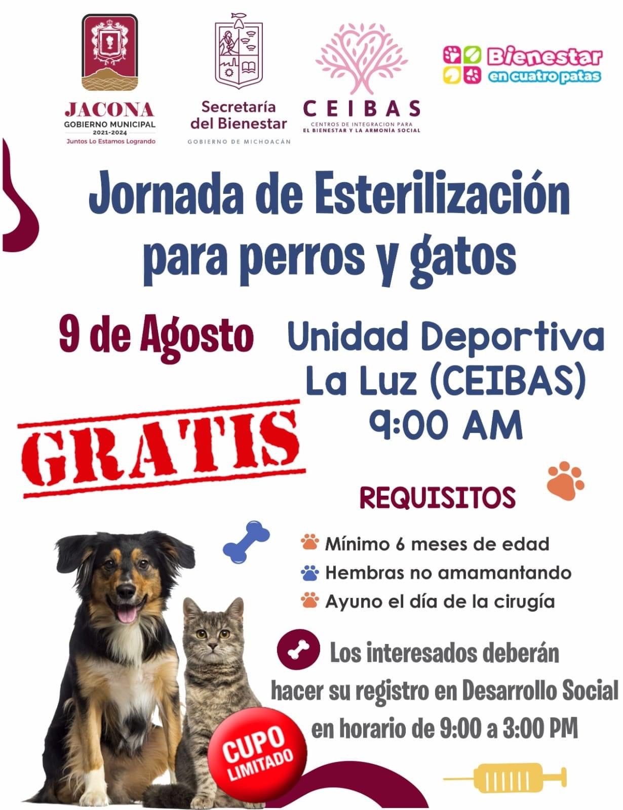 Nueva jornada gratuita de Esterilización de Mascotas en Jacona
