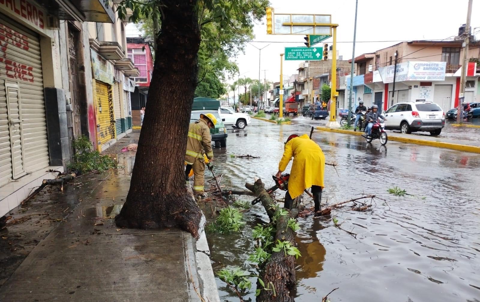 Protección Civil atendió reportes por árboles caídos y encharcamientos debido a las fuertes lluvias