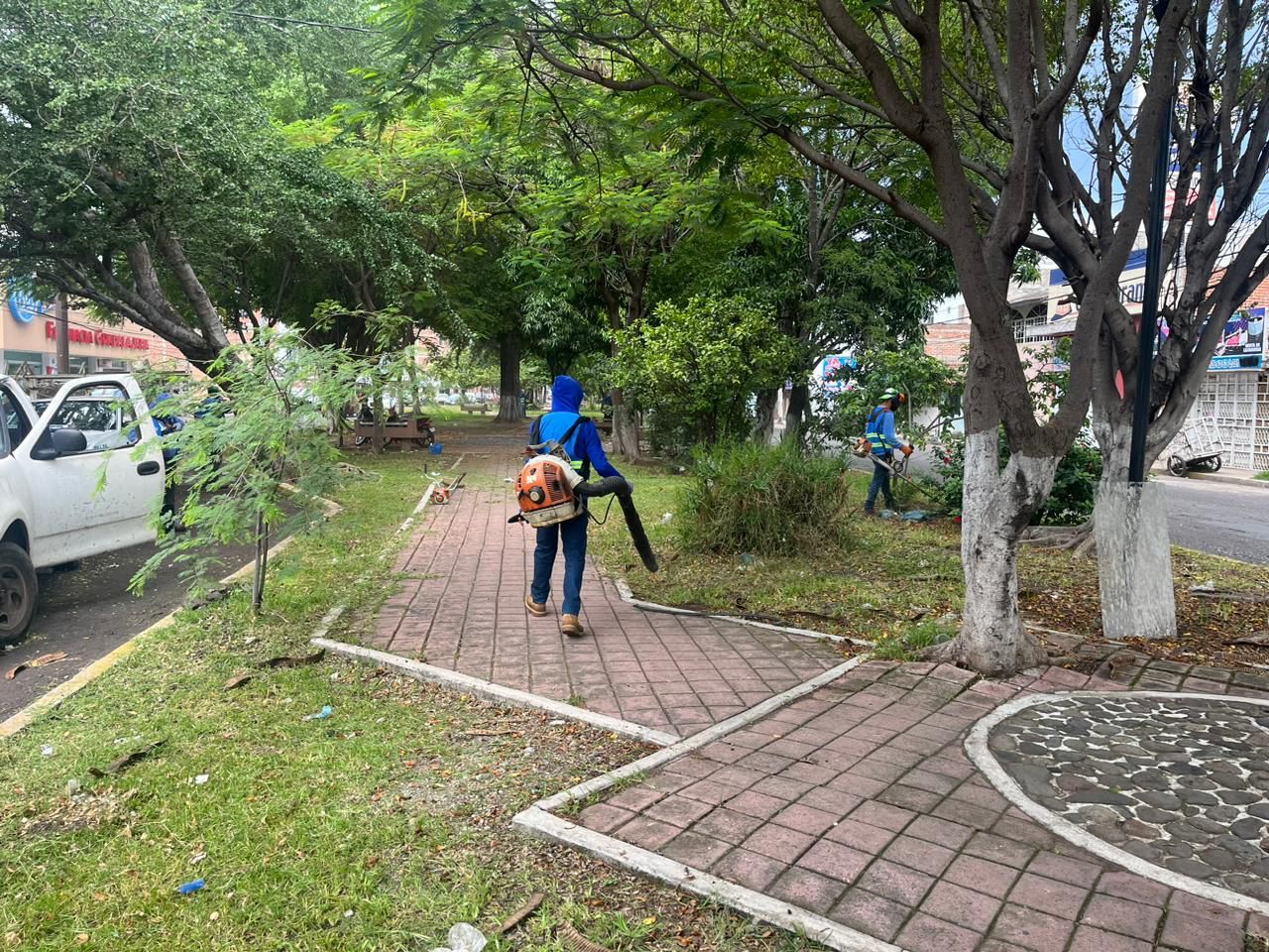 Dan mantenimiento a parques y jardines de la ciudad