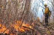 Protección civil se declara lista para atender incendios forestales en zonas cerriles 