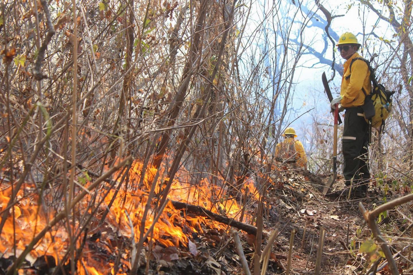 Protección civil se declara lista para atender incendios forestales en zonas cerriles 