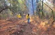 Controlado el incendio forestal en la Reserva de la Monarca