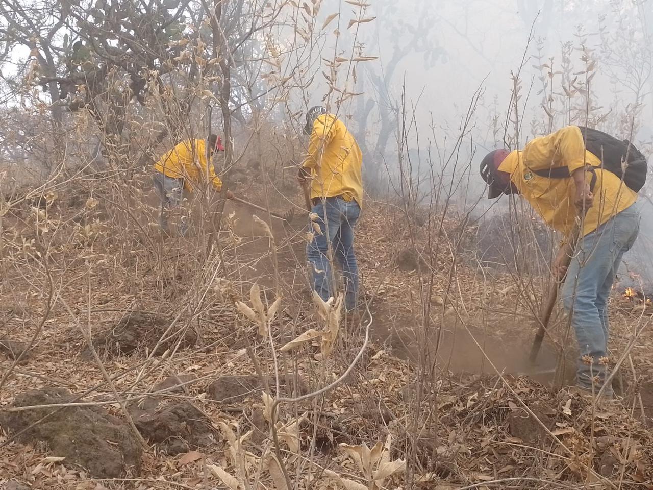 Incendios de pastizales crecen en Zamora; se atienden 4 reportes diarios 