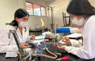 Alumnas del Cecytem compiten en concurso de ciencias en Argentina