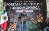Michoacán celebra que EUA asuma responsabilidad del cuidado de la Monarca: Bedolla