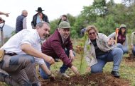 Más de 16 millones de árboles plantados en 2024