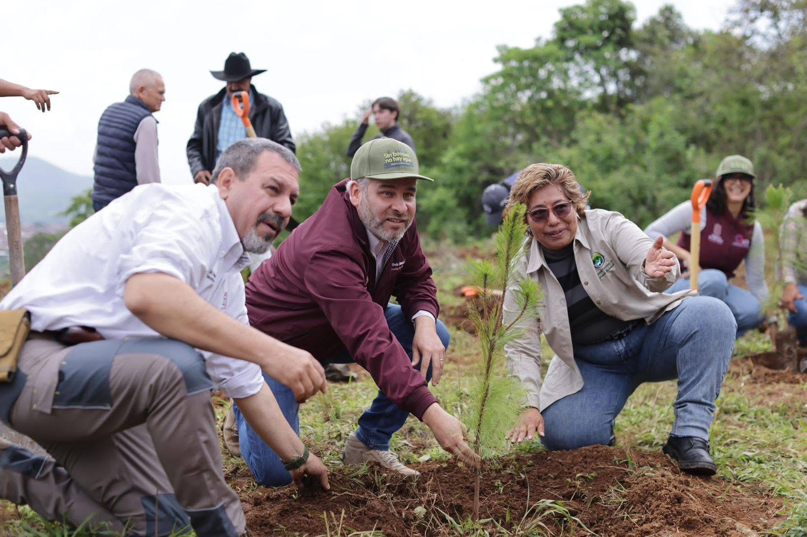 Más de 16 millones de árboles plantados en 2024