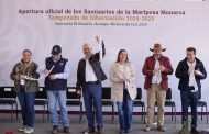 Ante millones de Mariposas Monarca, Michoacán vive un espectáculo único en el mundo: Bedolla