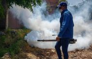 Permanente el trabajo de la Brigada Municipal contra el Dengue