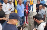 Durante operativo del Día de Reyes, Fiscalía General asegura cinco cachorros abandonados
