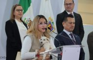 Entrega de boletos para Chayanne por alimento para michis y lomitos: Bedolla