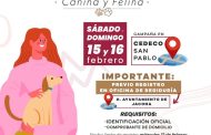 Gobierno de Jacona invita a campaña de ESTERILIZACIÓN canina y felina este próximo sábado 15 y domingo 16 de febrero.