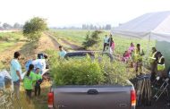 Desincorporarán área federal para proyecto “vía verde” en Zamora