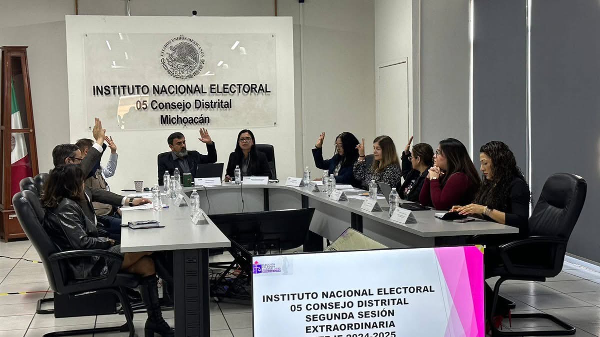 Enfermos y cuidadores de los mismos podrán emitir voto anticipado en elección judicial