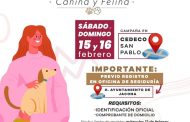 Invita a campaña de ESTERILIZACIÓN canina y felina este próximo sábado 15 y domingo 16 de febrero.El Gobierno de Jacona