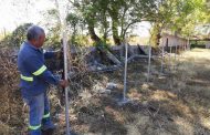 Buen Gobierno colabora con la escuela primaria “Justo Sierra ” para mejorar la seguridad