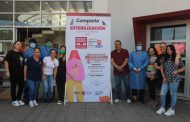 Realizan en Jacona jornada de esterilización de perros y gatos
