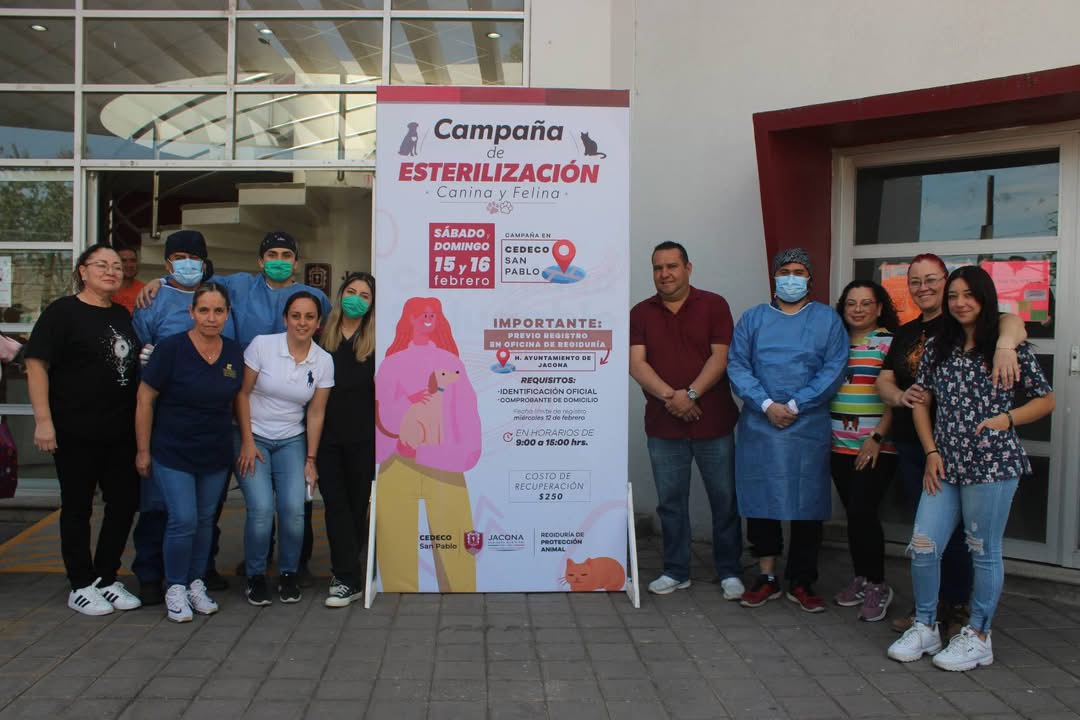 Realizan en Jacona jornada de esterilización de perros y gatos