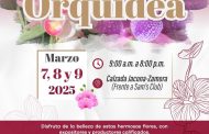 Ya llega la 2da. EXPO ORQUÍDEA a Jacona! 🪻🌷💐