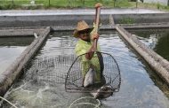 Por Cuaresma, Gobierno estatal ofertará pescados y mariscos a precios bajos