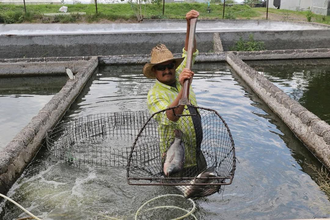 Por Cuaresma, Gobierno estatal ofertará pescados y mariscos a precios bajos